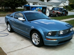 Mustang