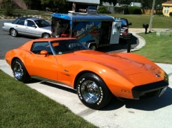 8stingray